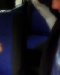 photo-thumb