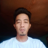 Singobarong的化身